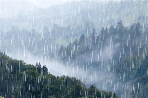 下大雨图片|70000 多张免费的“下雨”和“雨”照片